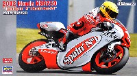 ホンダ NSR250 チーム スペインズ No.1 ホンダ グレッシーニ (2002 WGP250)