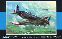 モラーヌ ソルニエ MS-406 C.1 フランス戦