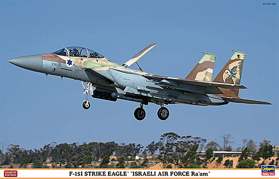F-15I ストライク イーグル イスラエル空軍 ラーム プラモデル (ハセガワ 1/48 飛行機 限定生産 No.07353) 商品画像