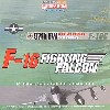 F-16C ファイティングファルコン ウェポンズスクール50周年記念