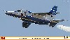 川崎 T-4 ブルーインパルス 2013