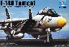 F-14A トムキャット