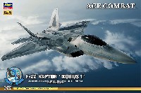 F-22 ラプター エースコンバット メビウス 1