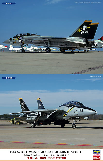 F-14A/B トムキャット ジョリー ロジャース ヒストリー プラモデル (ハセガワ 1/72 飛行機 限定生産 No.02106) 商品画像