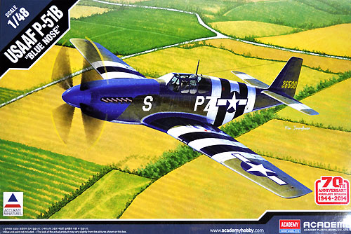 USAAF P-51B マスタング BLUE NOSE プラモデル (アカデミー 1/48 Scale Aircrafts No.12303) 商品画像