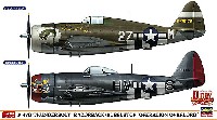 P-47D サンダーボルト レザーバック/バブルトップ オーバーロード作戦 (2機セット)