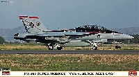 F/A-18F スーパーホーネット VFA-41ブラックエーセス CAG