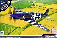 アカデミー 1/48 Scale Aircrafts USAAF P-51B マスタング BLUE NOSE