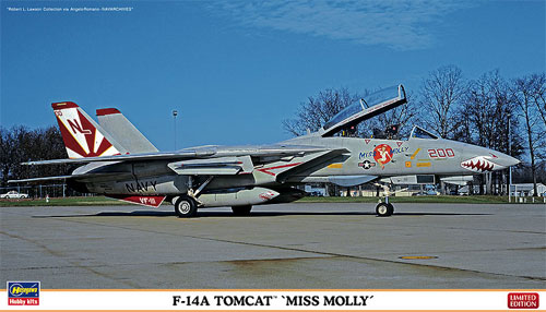 F-14A トムキャット ミス モーリー プラモデル (ハセガワ 1/72 飛行機 限定生産 No.02123) 商品画像