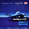 F-5F タイガー 2 VFC-13 ファイティング・セインツ