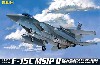 F-15C イーグル MSIP 2
