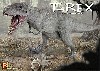 ティラノサウルス T-REX