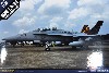 F/A-18D ホーネット VMFA(AW)-242 バッツ