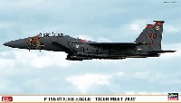 F-15E ストライク イーグル タイガーミート 2005