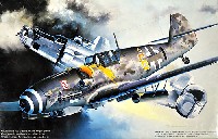 フジミ 1/48 AIR CRAFT（定番外） メッサーシュミット Bf109G-6 /W.Gr.2 ボマーキラー