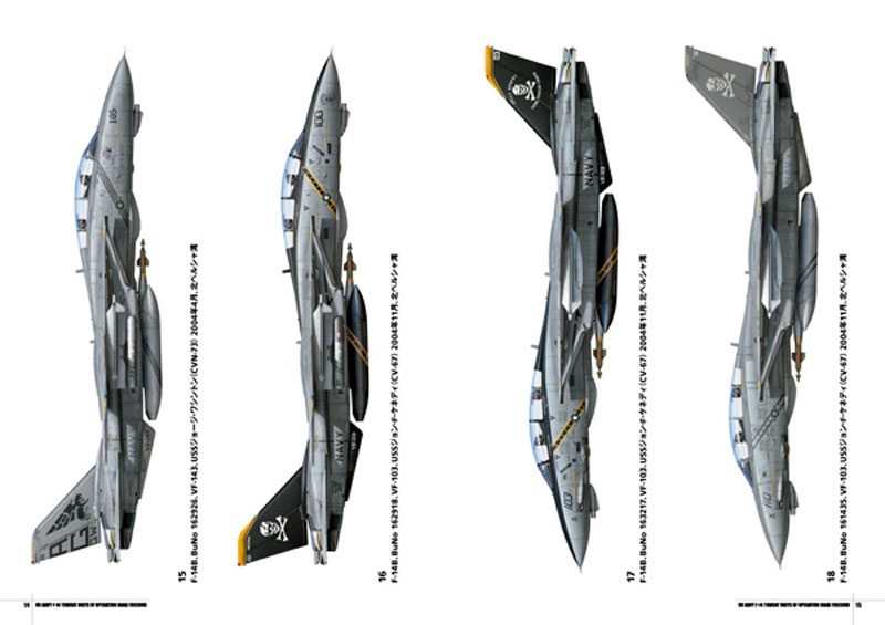 F-14 トムキャット オペレーション イラキフリーダム (イラクの自由作戦のアメリカ海軍F-14トムキャット飛行隊) 本 (大日本絵画 オスプレイ エアコンバットシリーズ No.23157) 商品画像_2