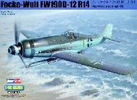 フォッケウルフ Fw190D-12 R14