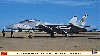 F-14A/B トムキャット VF-74 ビ・デビラーズ アドバーサリー