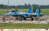 Su-27 フランカー ウクライナ空軍 デジタル迷彩