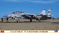 F-14A/B トムキャット VF-74 ビ・デビラーズ アドバーサリー