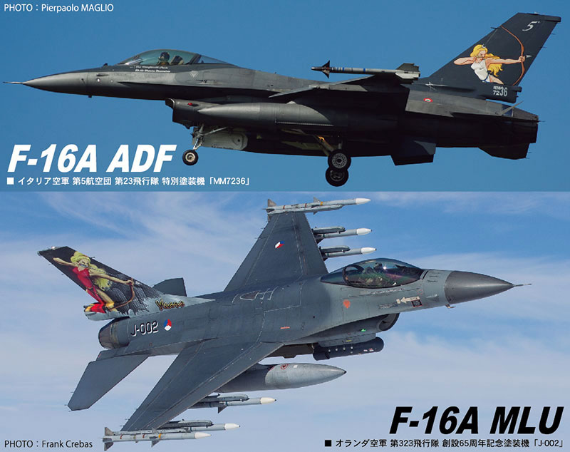 F-16A ADF/MLU ファイティングファルコン ダイアナコンボ プラモデル (ハセガワ 1/72 飛行機 限定生産 No.02172) 商品画像_4