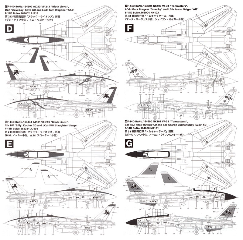 F-14D トムキャット イラキフリーダム デカール (モデルカステン モデルカステン マテリアル No.DC-006) 商品画像_3