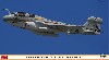 EA-6B プラウラー U.S.ネイビー フェアウェル