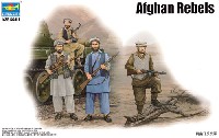 アフガニスタン ゲリラ