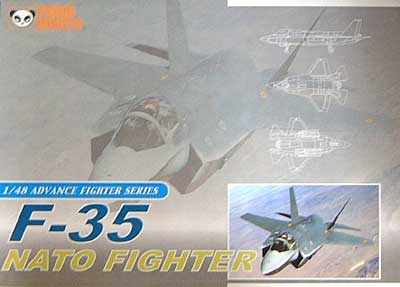 F-35 NATOファイター プラモデル (パンダモデル 1/48 Advance Fighter Series No.48003) 商品画像