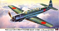 ハセガワ 1/48 飛行機 限定生産 中島 C6N1-S 夜間戦闘機 彩雲 30mm砲搭載型