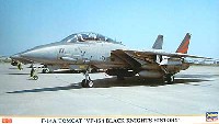 F-14A トムキャット ＶＦ-154 ブラックナイツ ヒストリー