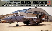 Ｆ-14Ａ トムキャット ブラックナイツ