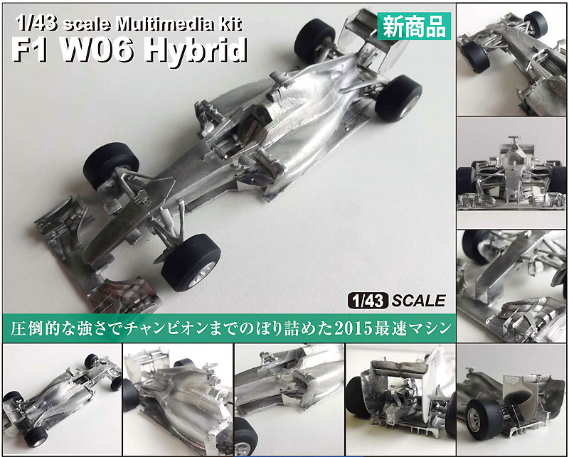 メルセデス F1 W06 ハイブリッド ワールドチャンピオン 2015 レジン (スタジオ27 1/43 マルチメディアキット No.FD43035) 商品画像_2