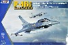 F-16A/B 中華民国空軍 抗戦勝利 70周年記念塗装