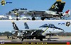 F-14A/B トムキャット ジョリーロジャース (2機セット)