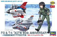 F-2 & T-4 飛行開発実験団 60周年記念 (2機セット)