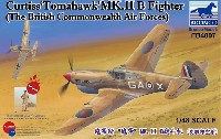 カーチス トマホーク Mk.2B 戦闘機