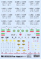 イラン空軍 F-14 トムキャット用 デカール