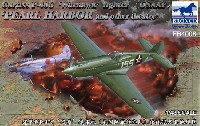 ブロンコモデル 1/48 エアクラフト プラモデル カーチス P-40C ウォホーク 真珠湾