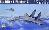 Su-30 MKK フランカーG