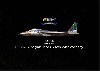 F-15C イーグル オレゴン州空軍 75周年記念塗装