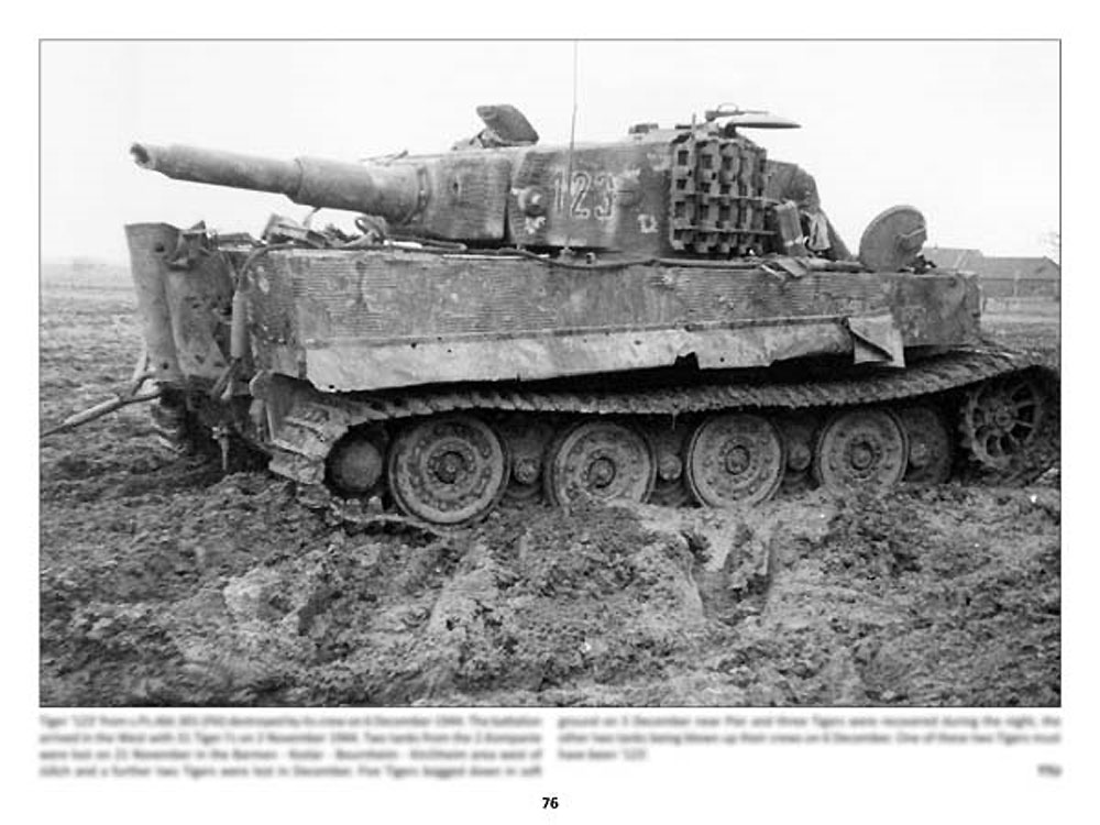 パンツァーレックス 21 本 (パンツァーレックス パンツァーレックス （Panzerwrecks） No.021) 商品画像_1