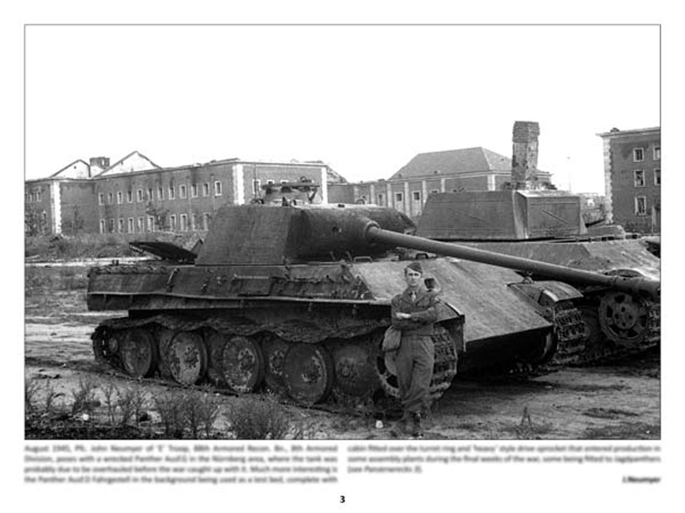 パンツァーレックス 21 本 (パンツァーレックス パンツァーレックス （Panzerwrecks） No.021) 商品画像_2