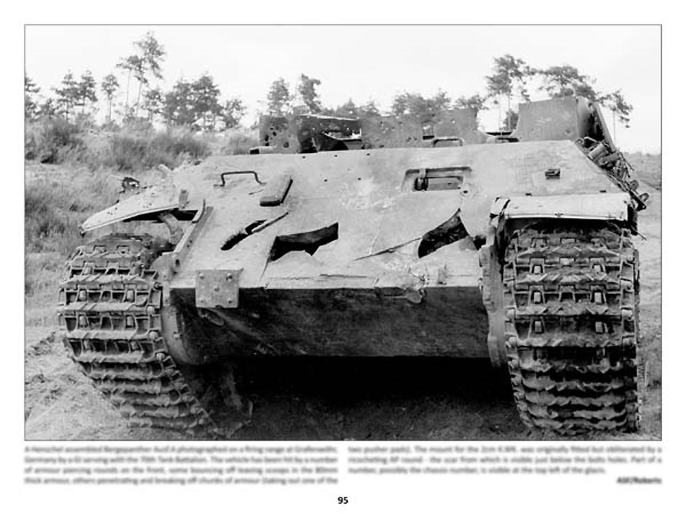 パンツァーレックス 21 本 (パンツァーレックス パンツァーレックス （Panzerwrecks） No.021) 商品画像_3