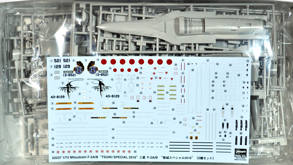 三菱 F-2A/B 築城スペシャル 2016 プラモデル (ハセガワ 1/72 飛行機 限定生産 No.02237) 商品画像_1