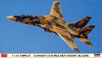 F-14A トムキャット イラン空軍 ニューデザートスキーム