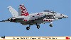 EA-18G グラウラー VAQ-141 シャドウホークス 2017