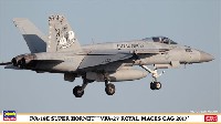 F/A-18E スーパーホーネット VFA-27 ロイヤルメイセス CAG 2017