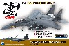 アメリカ空軍 F-15E ストライクイーグル