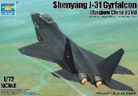 中国 J-31 技術実証機